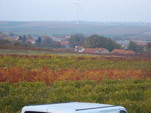 CIMG1197 Heute beginnen wir mit einem Suchrtsel: wer findet unser Haus?
Die Lsung: unter dem Windrad hinter dem Baum schimmert es blau durch.