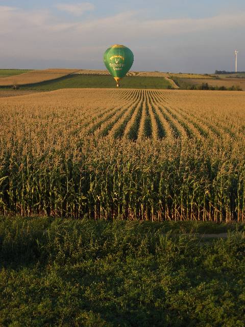 CIMG2733 Ein Heissluftballon hat sich zu uns verirrt.