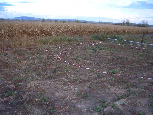 CIMG2893 An der hinteren Grundstcksgrenze ist eine Natursteinmauer geplant.