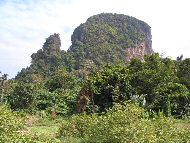 CIMG3102 Am 11.1. sind wir - Erich, Rosemarie, Robert und Edith, nach Thailand geflogen. So sieht es in der Region Krabi aus.