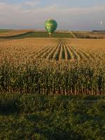 CIMG2733 Ein Heissluftballon hat sich zu uns verirrt.